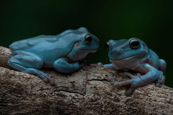 Comment harmoniser des pièces à motifs tropicaux avec un style citadin ?